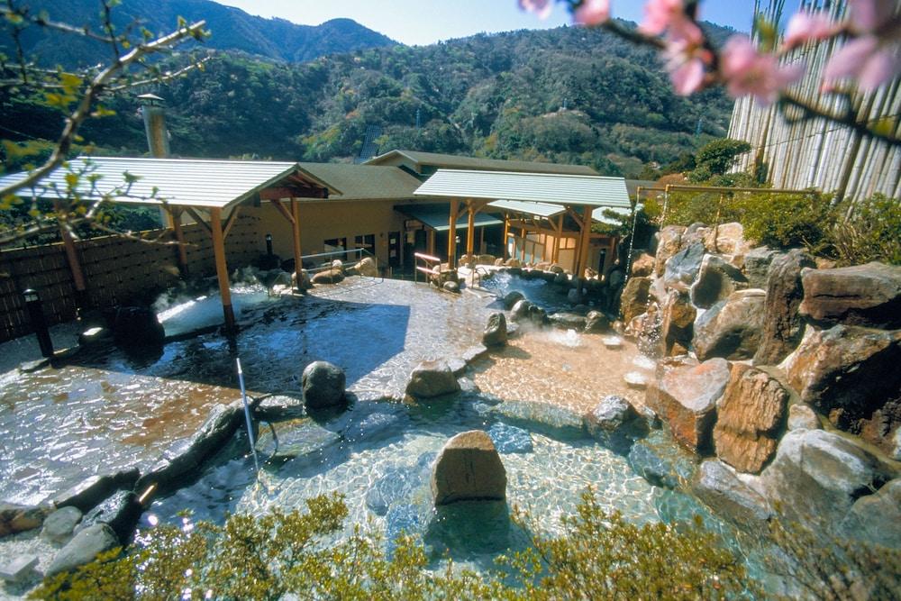 Hakonenomori Okada Ryokan 4*