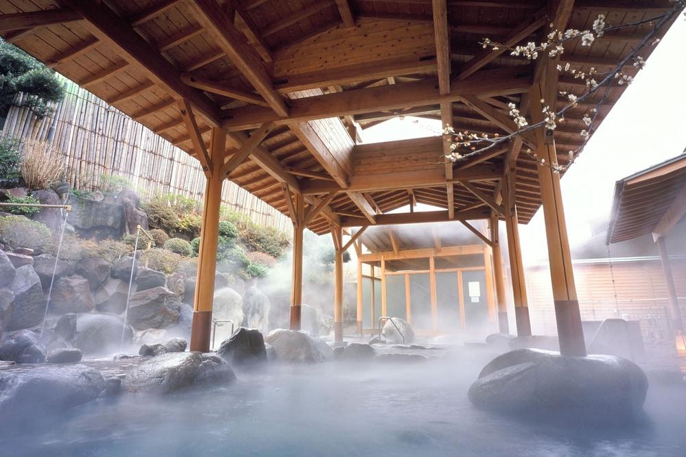 Ryokan Hakonenomori Okada